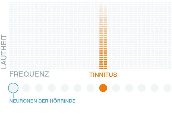 Schaubild 1