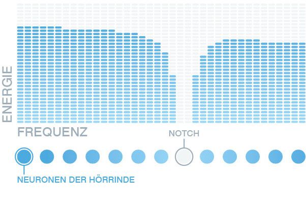Schaubild 2