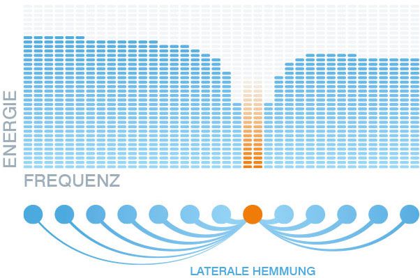 Schaubild 3